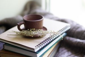 découvrez comment maintenir la santé de vos plantes grâce à des conseils pratiques et des astuces de jardinage. apprenez à identifier les signes de maladies et à prévenir les problèmes pour des plantes florissantes et en pleine forme.