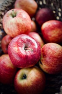 découvrez les bienfaits de l'agriculture biologique : une méthode durable qui respecte l'environnement, favorise la biodiversité et produit des aliments sains. plongez dans le monde de l'agriculture organique et apprenez comment elle transforme notre façon de cultiver et de consommer.