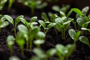 découvrez l'importance de la durabilité dans notre monde moderne. explorez des solutions innovantes et des pratiques respectueuses de l'environnement pour un avenir plus vert et responsable.